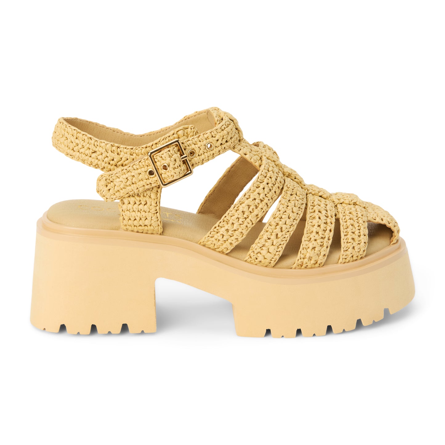Tavi Heel