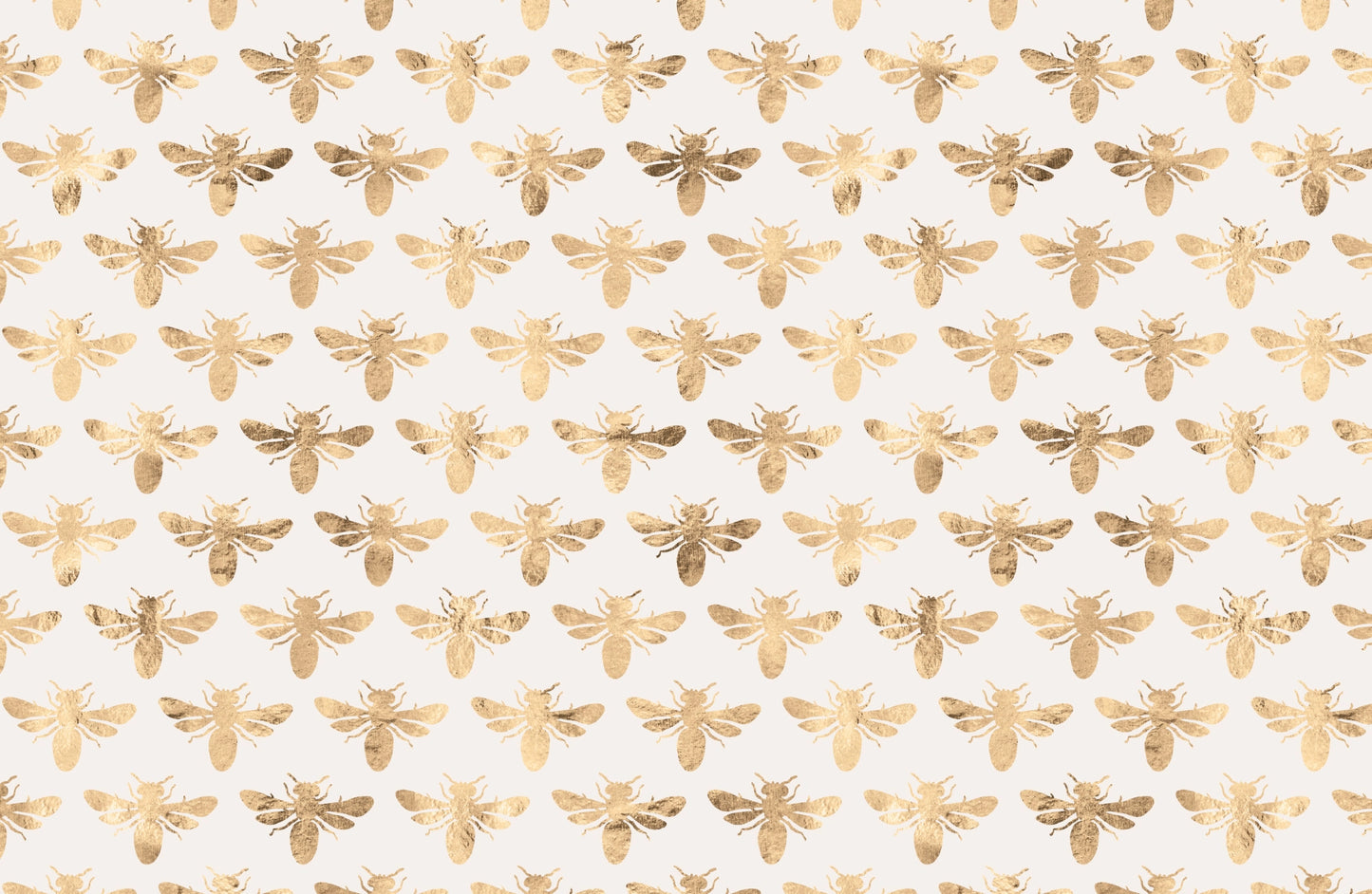 11x17 Golden Delicious Insert Set of 10