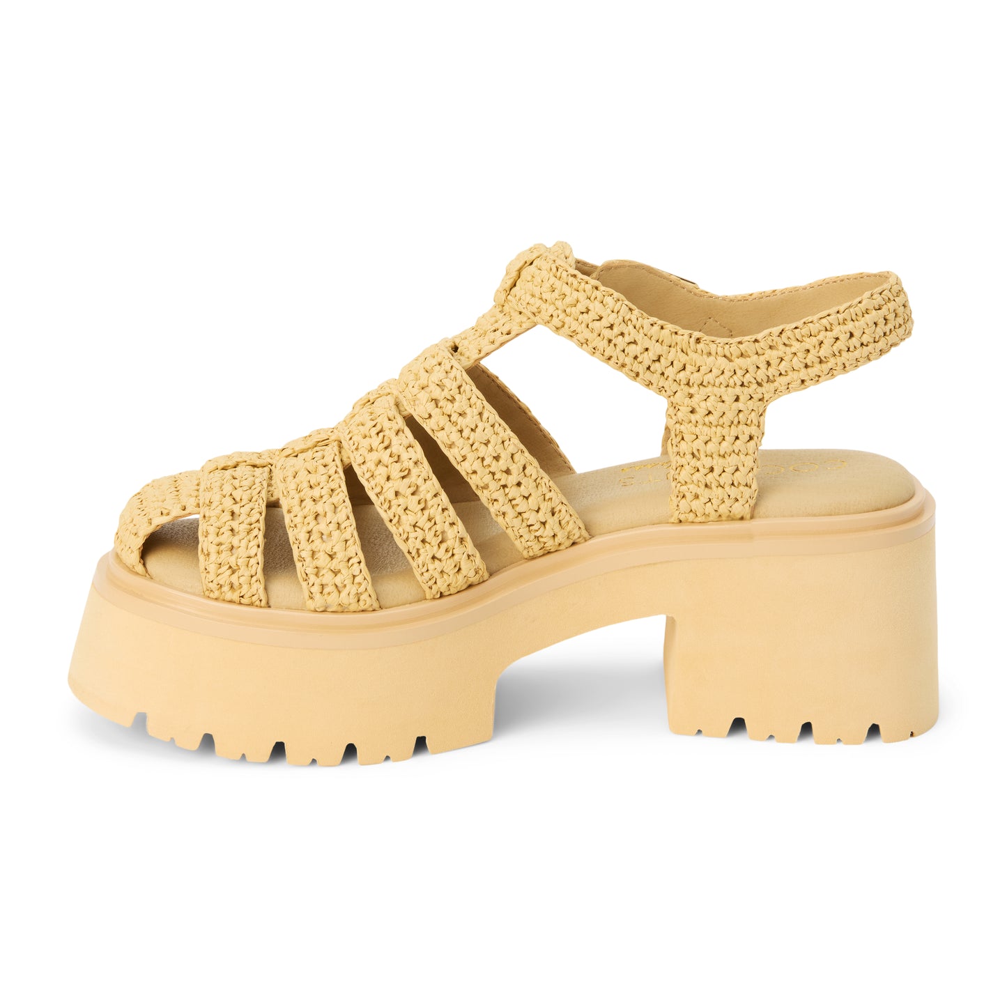 Tavi Heel