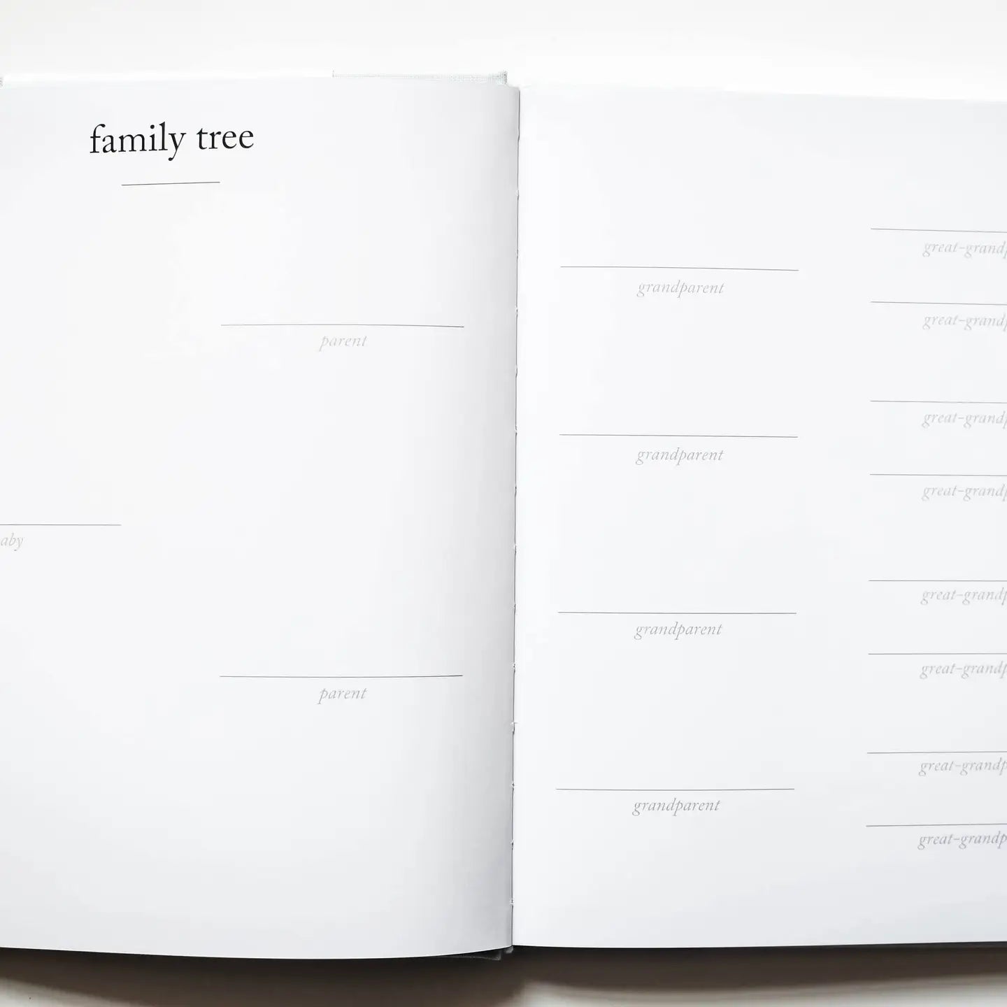 Baby's First Year Memory Book & Photo Album